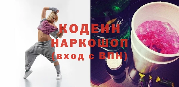 гашик Корсаков