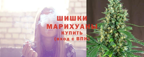 гашик Корсаков