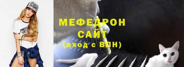 гашик Корсаков