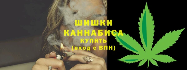 гашик Корсаков