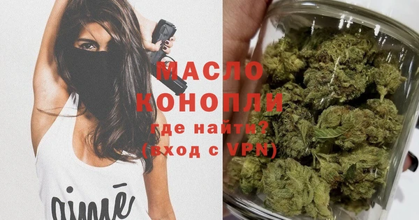 гашик Корсаков