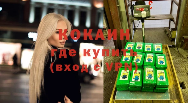 гашик Корсаков