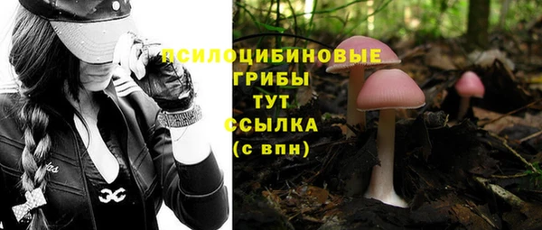 бутират Коряжма