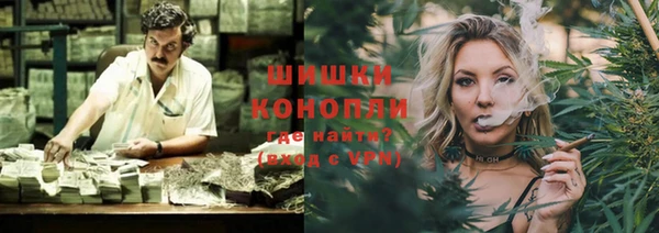 гашик Корсаков