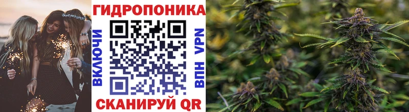 Купить закладки  Славск  Каннабис OG Kush 